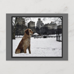 Golden-Conservatory Water-Central Park Briefkaart