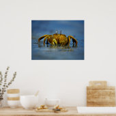 Golden Crab van Zee Print (Keuken)