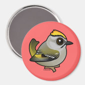 Golden crowed Kinglet Magneet (Voorkant / Achterkant)