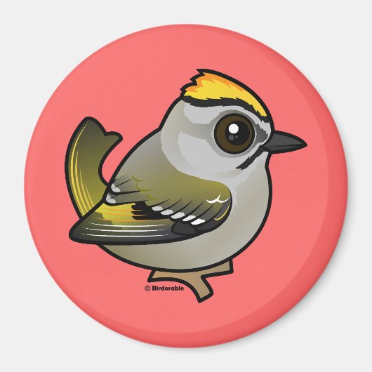 Golden crowed Kinglet Magneet (Voorkant)
