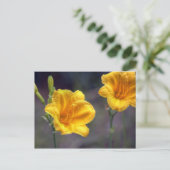 Golden Daffodil Briefkaart (Staand voorkant)