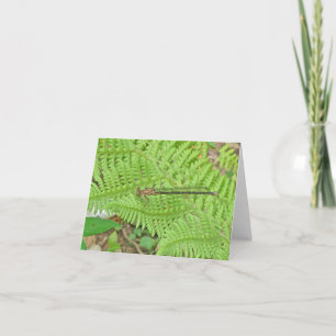 Golden Damselfly op Fern Note Kaart
