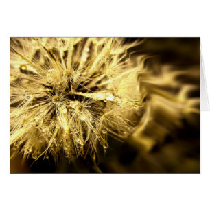 Golden Dandy Dreams Kaart