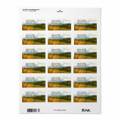Golden Daylily Flower Valley Etiket (Full Sheet)