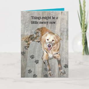 Golden Dog Kaart Best moet nog komen