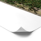 Golden Dome Poster (Hoek)