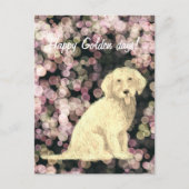 Golden Doodle Briefkaart (Voorkant)