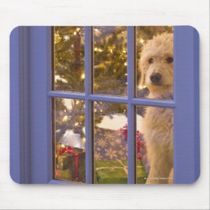 Golden Doodle pupil die een glazen deur uitkijkt m Muismat