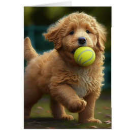 Golden Doodle Puppy Ball Occasions Greet