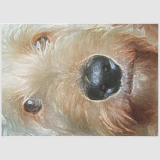 Golden Doodle Tissue Paper voor geschenken en ontk Tissuepapier