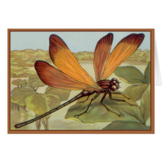Golden Dragonfly