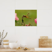 Golden Dragonfly Poster (Keuken)