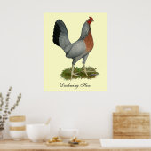 Golden Duckwing Hen Poster (Keuken)