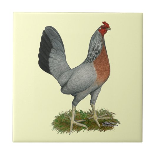 Golden Duckwing Hen Tegeltje (Voorkant)