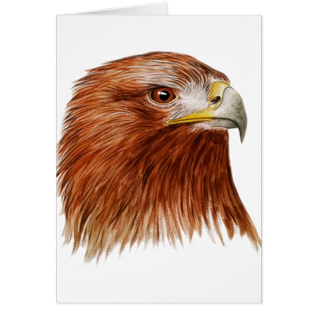 Golden Eagle 2011 (Voorkant)