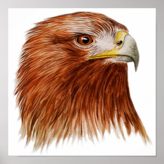 Golden Eagle 2011 Poster (Voorkant)