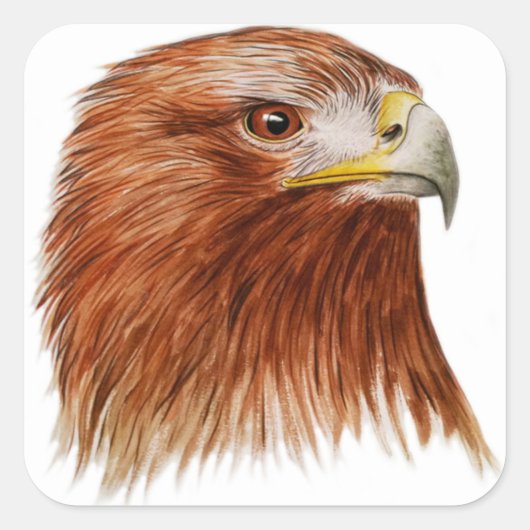 Golden Eagle 2011 Vierkante Sticker (Voorkant)