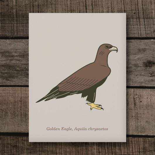 Golden Eagle Briefkaart