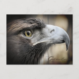 Golden Eagle:Briefkaart Briefkaart