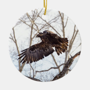 Golden Eagle in Flight Keramisch Ornament