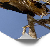 Golden Eagle in Yellowstone Poster (Hoek)