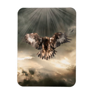 Golden Eagle Magneet