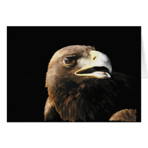 Golden Eagle Portrait