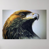 Golden Eagle Poster (Voorkant)