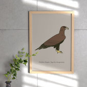 Golden Eagle Poster