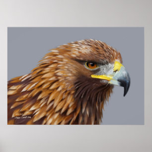 Golden Eagle Poster