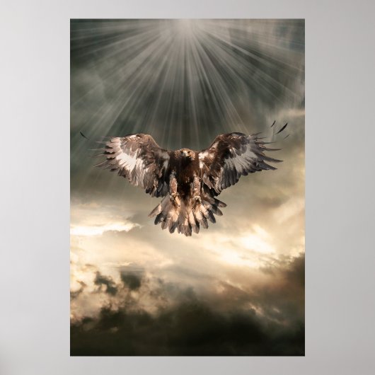 Golden Eagle Poster (Voorkant)