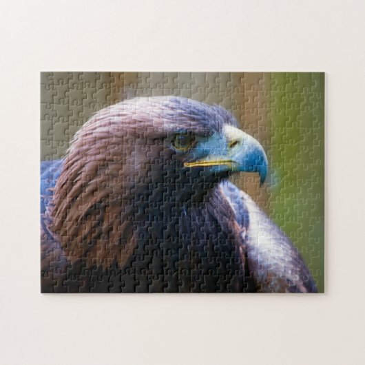 Golden Eagle puzzle (Horizontal)