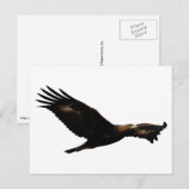 Golden Eagle Soaring Briefkaart (Voorkant / Achterkant)