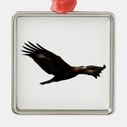 Golden Eagle Soaring Metalen Ornament (Voorkant)