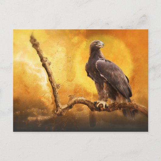 Golden Eagle THE GOLDEN ONE Briefkaart (Voorkant)
