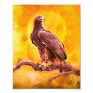 Golden Eagle THE GOLDEN ONE Foto Afdruk