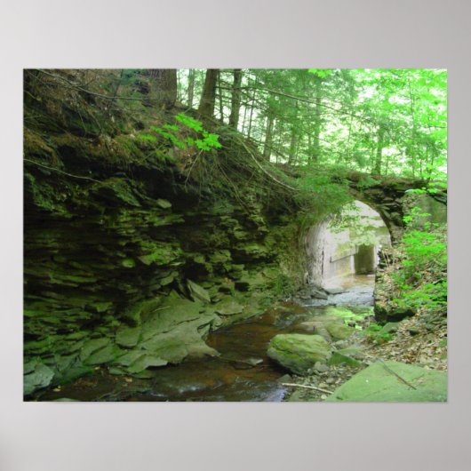 Golden Eagle Trail Poster (Voorkant)