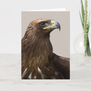 Golden Eagle-wenskaart Kaart