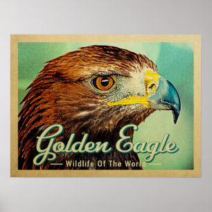 Golden Eagle - Wilde dieren van de wereld Poster