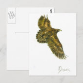Golden Eagle Wildlife Briefkaart (Voorkant / Achterkant)