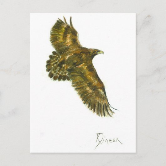 Golden Eagle Wildlife Briefkaart (Voorkant)