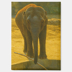 Golden Elephant Wisdom - Majestic Wildlife Magneet