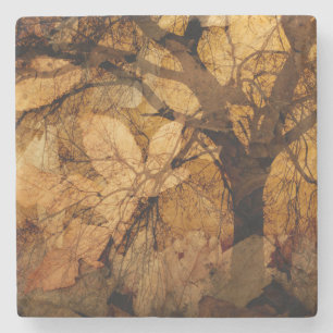 Golden en bruine bladeren   Merritt Island, FL Stenen Onderzetter