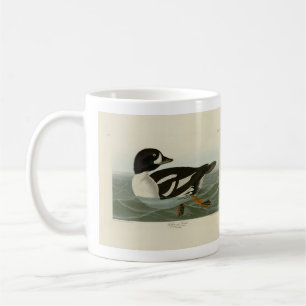 Golden-eye Duck van Audubon's Birds of America Koffiemok