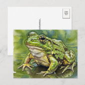 Golden-Eyed Frog Briefkaart voor Postcrossing (Voorkant / Achterkant)