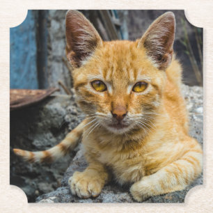 Golden Eyes Kartonnen Onderzetters