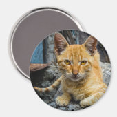 Golden Eyes Magnet Magneet (Voorkant / Achterkant)