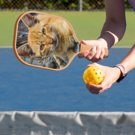 Golden Eyes Pickleball Paddle (Insitu)