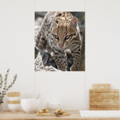 Golden Eyes Print (Keuken)