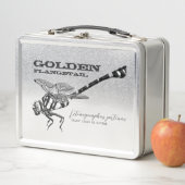 Golden Flangetail (In situ)